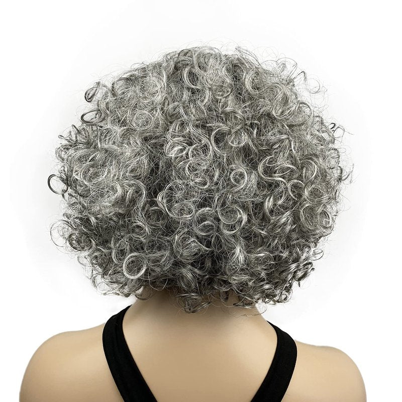 Onemliy Grey Wigs for Women Short Curly Asymmetrical Synthetic Fiber Ombre Silver Gray Wig for Halloween Cosplay Costume Party